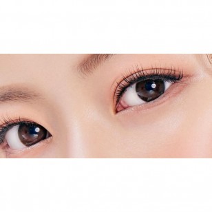 Someday Choco(月拋)